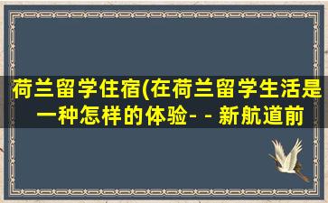 荷兰留学住宿(在荷兰留学生活是一种怎样的体验- - 新航道前程留学)